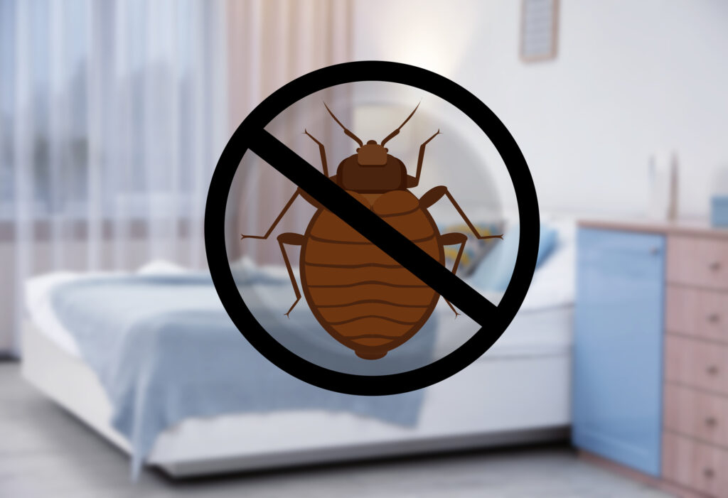 bed bugs preventation in bedroom st charles