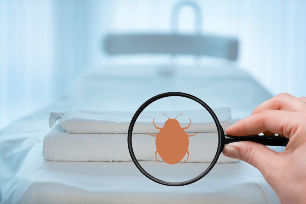 bed bug infestations columbia mo