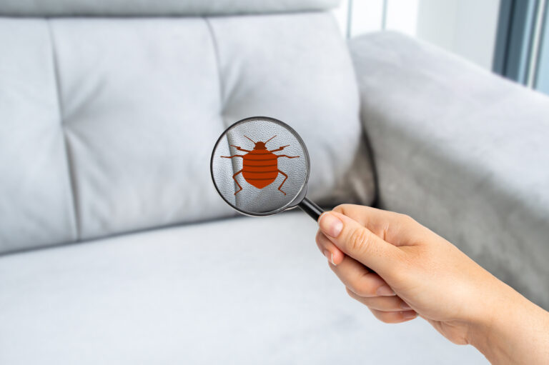 #1 Bed Bug Exterminator NYC 