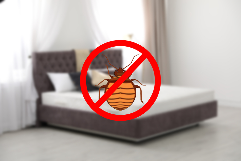 bed bug removal columbia mo